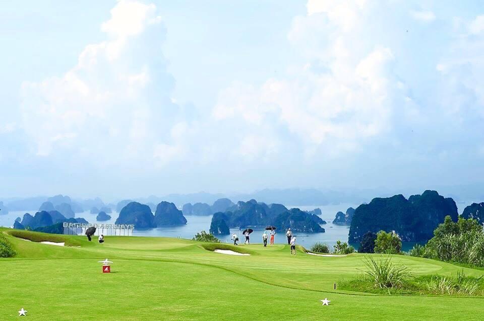 Golfer đang thực hiện cú putt kỹ thuật trên Green FLC Hạ Long