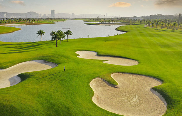 Thảm cỏ xanh mướt tiêu chuẩn PGA sân golf Tuần Châu