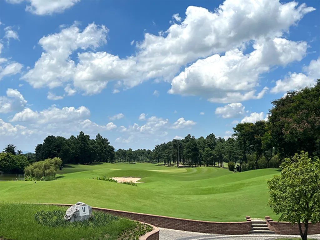 Thảm cỏ Green xanh mượt sân golf Vân Trì